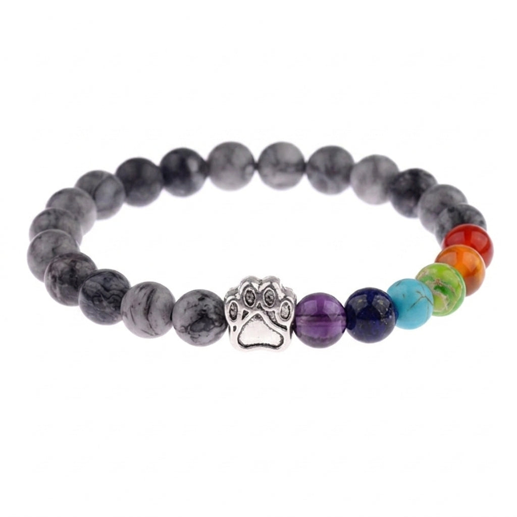 Night Rainbow shelter bracelet with paw charm