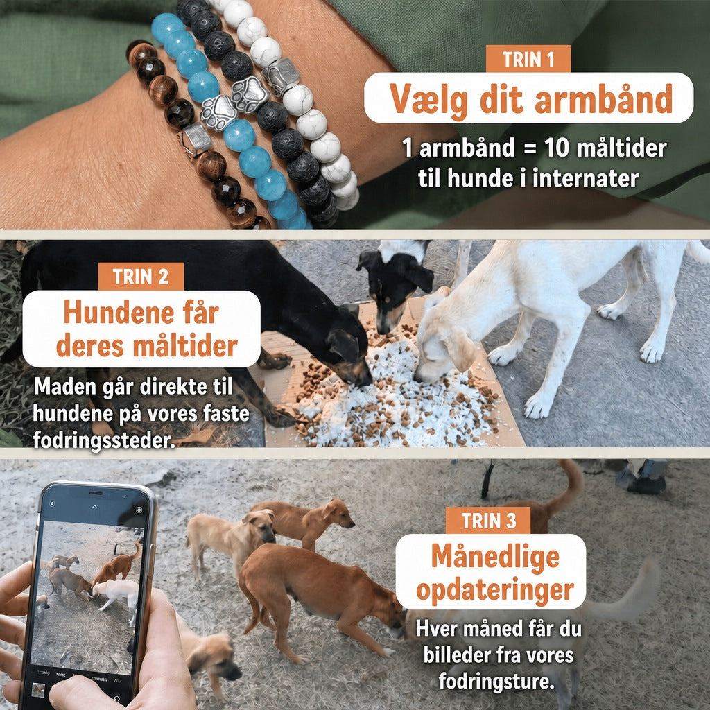 Sådan hjælper du – 1 armbånd = 10 måltider til hunde i internater