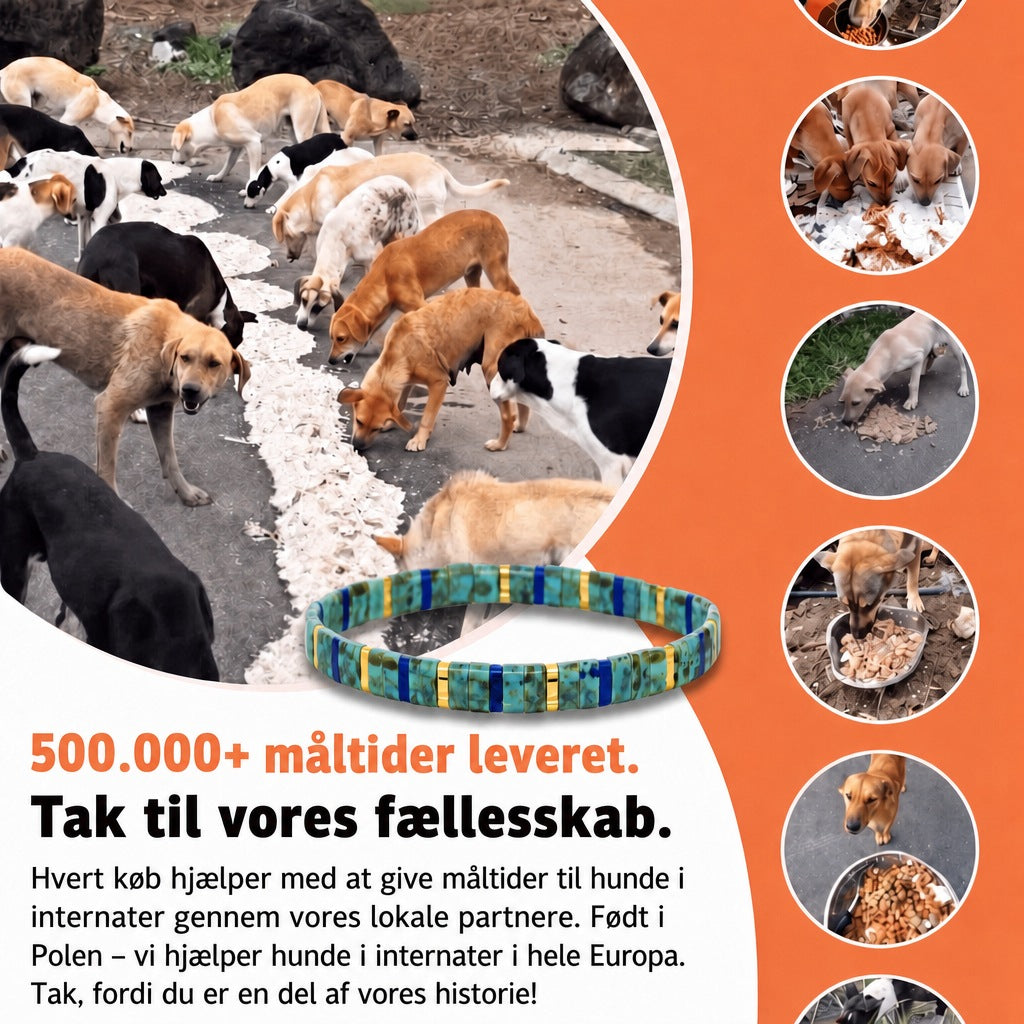 Miyuki-armbånd Azura – 500.000+ måltider leveret, født i Polen, vi hjælper hunde i internater i hele Europa