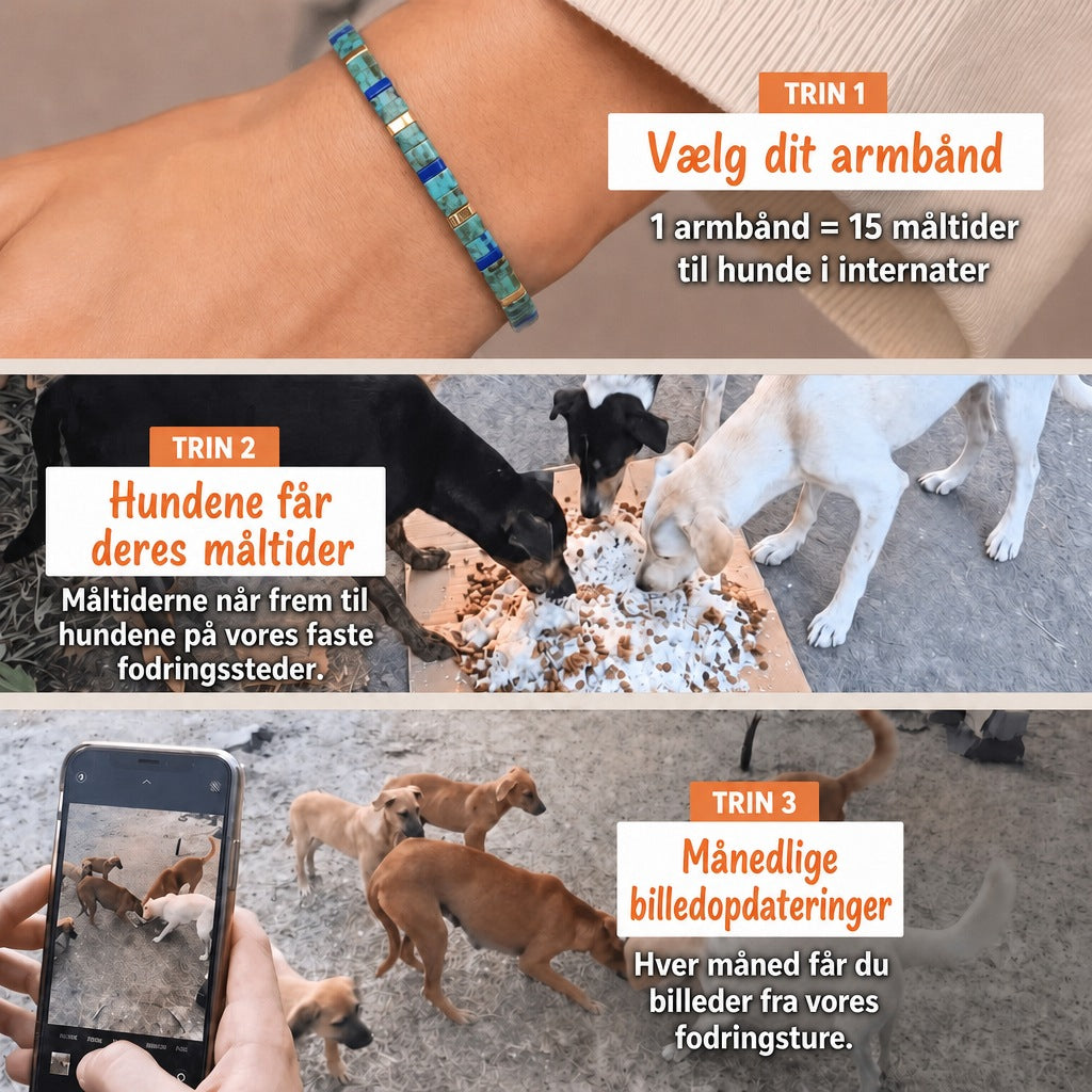 Miyuki-armbånd Azura – 1 armbånd = 15 måltider til hunde i internater