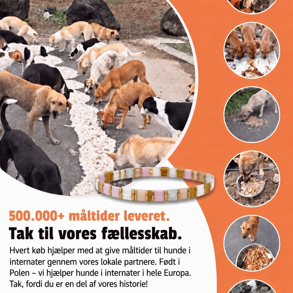 Miyuki-armbånd Chai – 500.000+ måltider leveret, født i Polen, vi hjælper hunde i internater i hele Europa