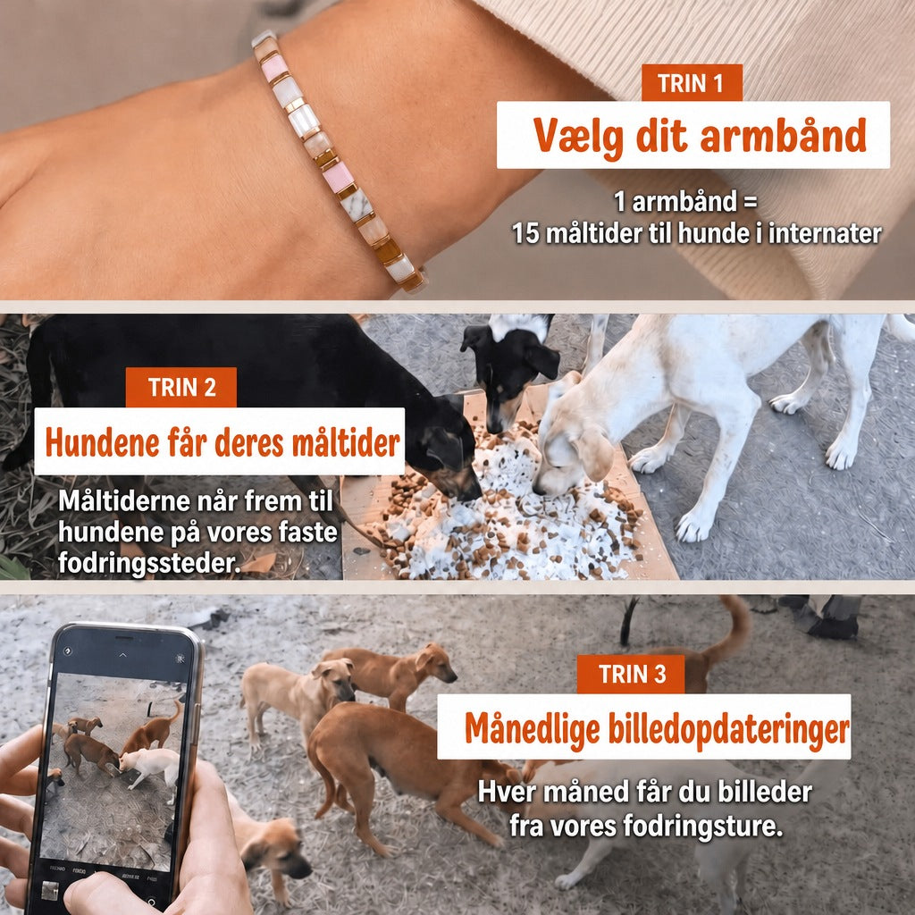 Miyuki-armbånd Chai – 1 armbånd = 15 måltider til hunde i internater