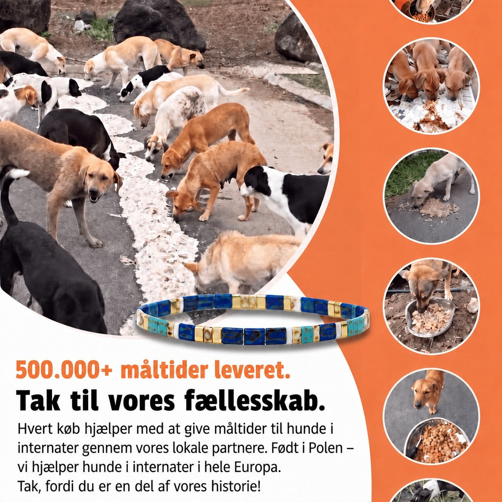 Miyuki-armbånd Egeische – 500.000+ måltider leveret, født i Polen, vi hjælper hunde i internater i hele Europa