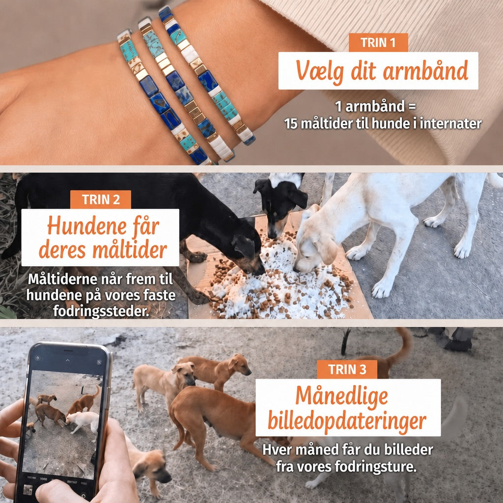 Miyuki-armbånd Egeische – 1 armbånd = 15 måltider til hunde i internater