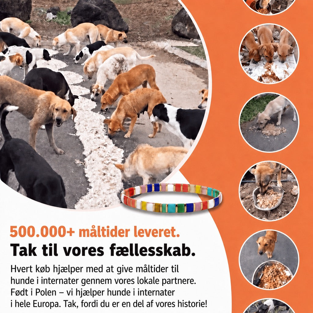 Miyuki-armbånd Fiesta – 500.000+ måltider leveret, født i Polen, vi hjælper hunde i internater i hele Europa