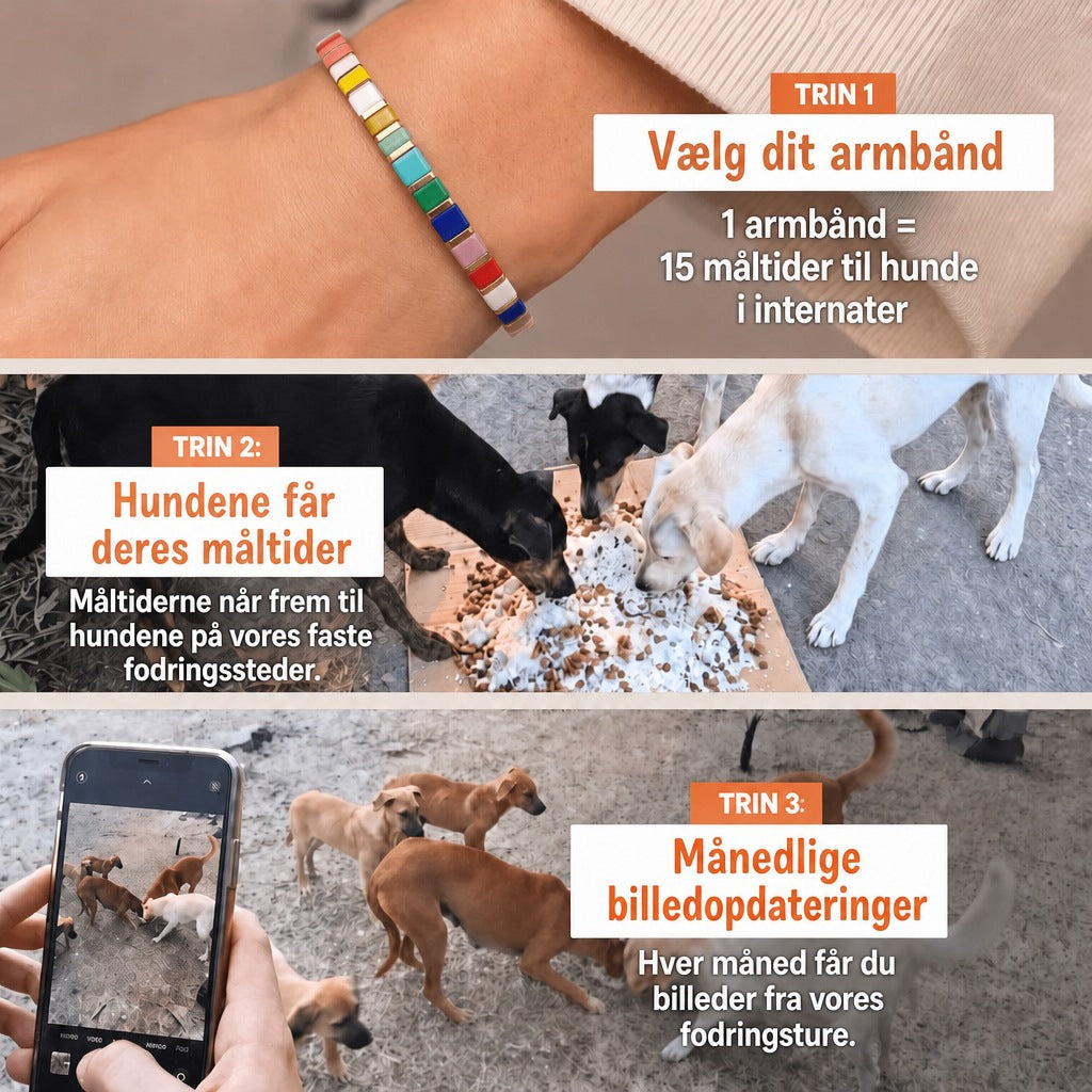 Miyuki-armbånd Fiesta – 1 armbånd = 15 måltider til hunde i internater