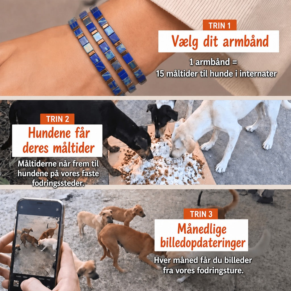 Miyuki-armbånd Marina – 1 armbånd = 15 måltider til hunde i internater