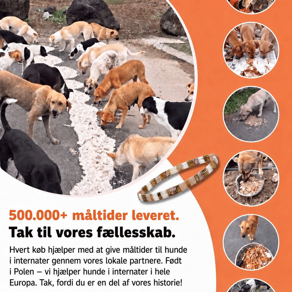 Miyuki-armbånd Marmer – 500.000+ måltider leveret, født i Polen, vi hjælper hunde i internater i hele Europa