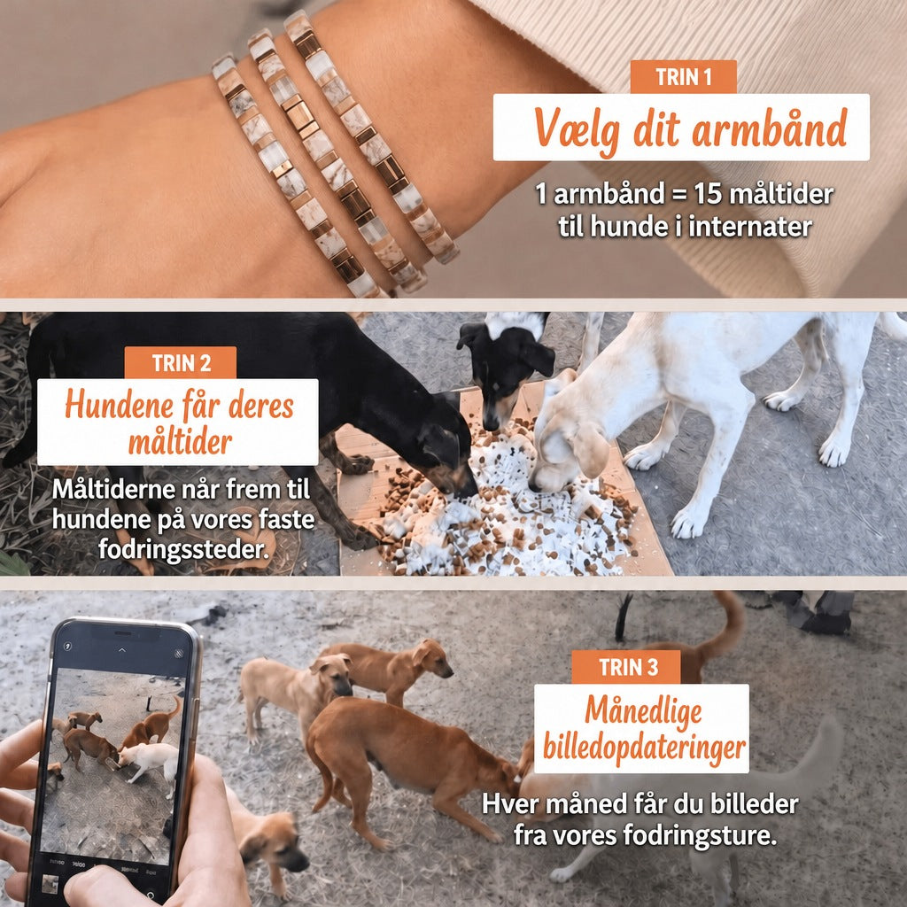 Miyuki-armbånd Marmer – 1 armbånd = 15 måltider til hunde i internater