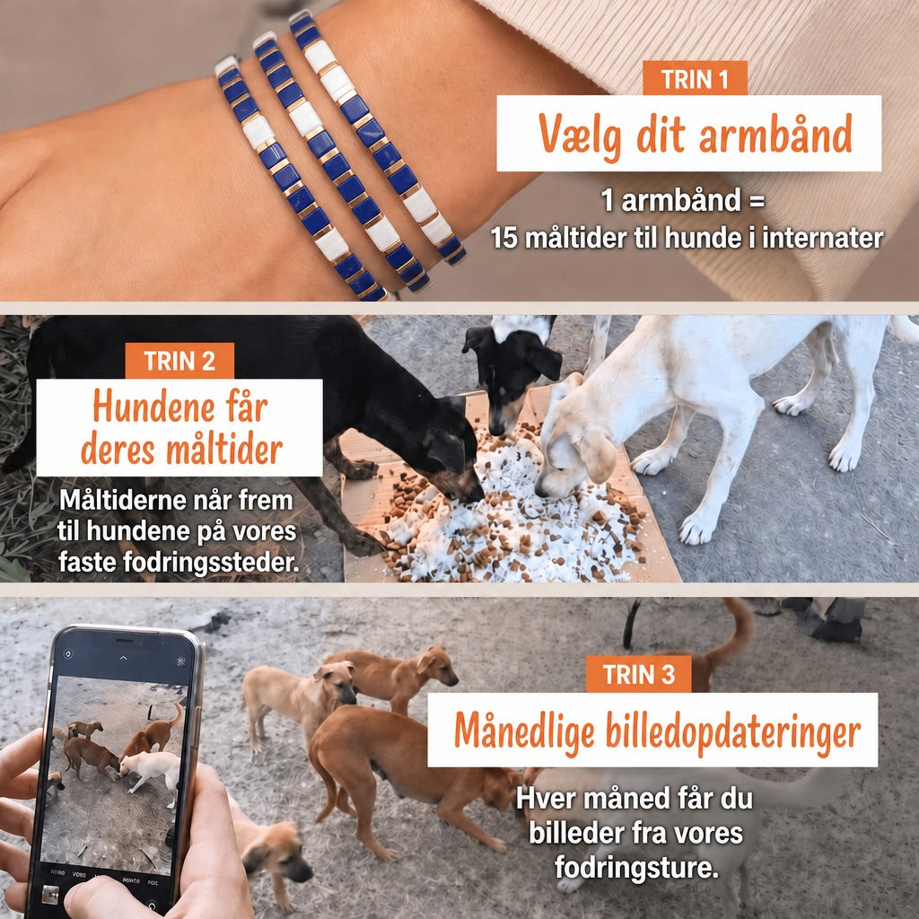 Miyuki-armbånd Nautische – 1 armbånd = 15 måltider til hunde i internater