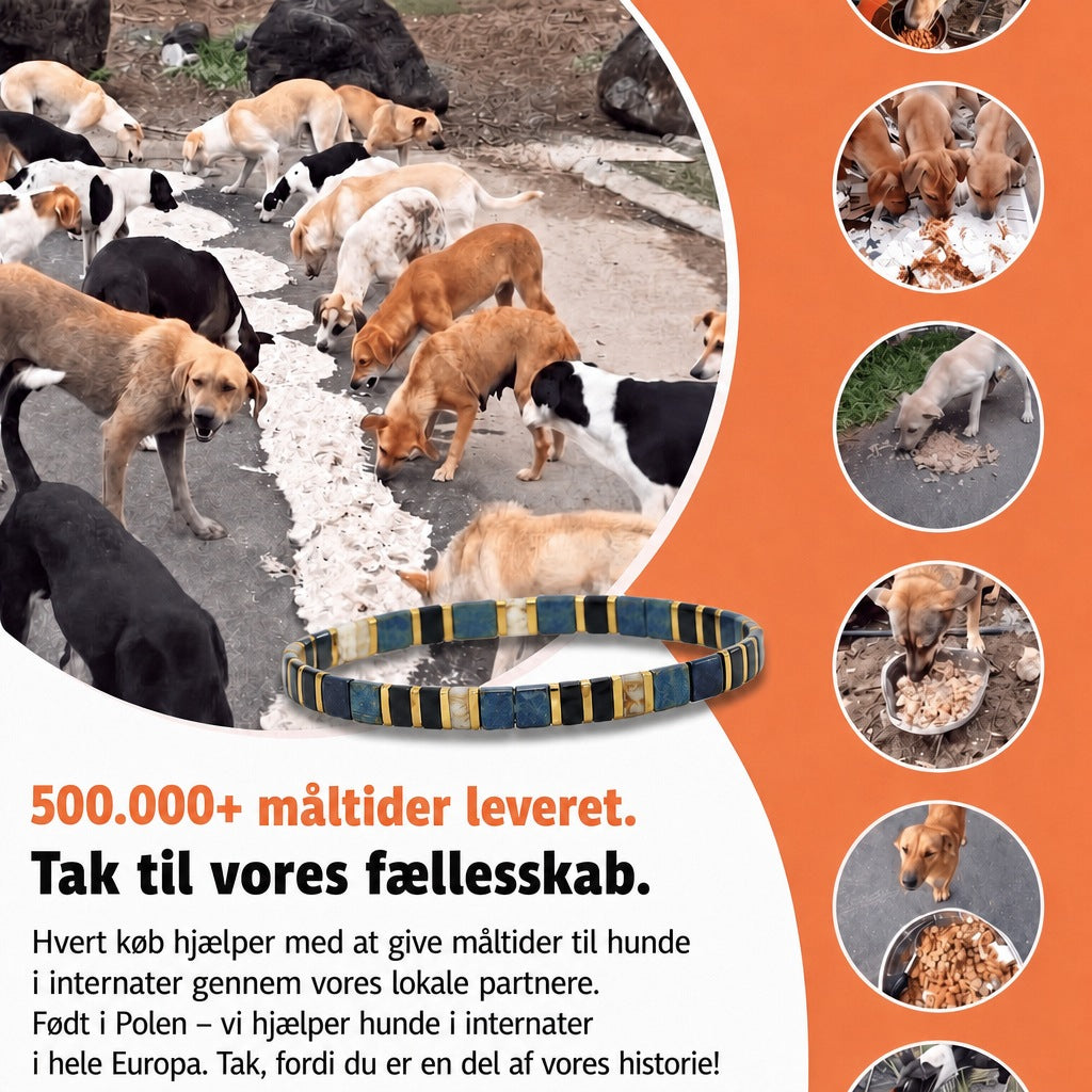 Miyuki-armbånd Nocturne – 500.000+ måltider leveret, født i Polen, vi hjælper hunde i internater i hele Europa