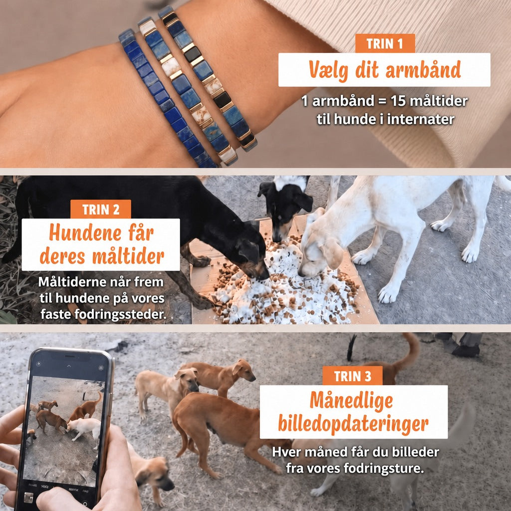 Miyuki-armbånd Nocturne – 1 armbånd = 15 måltider til hunde i internater