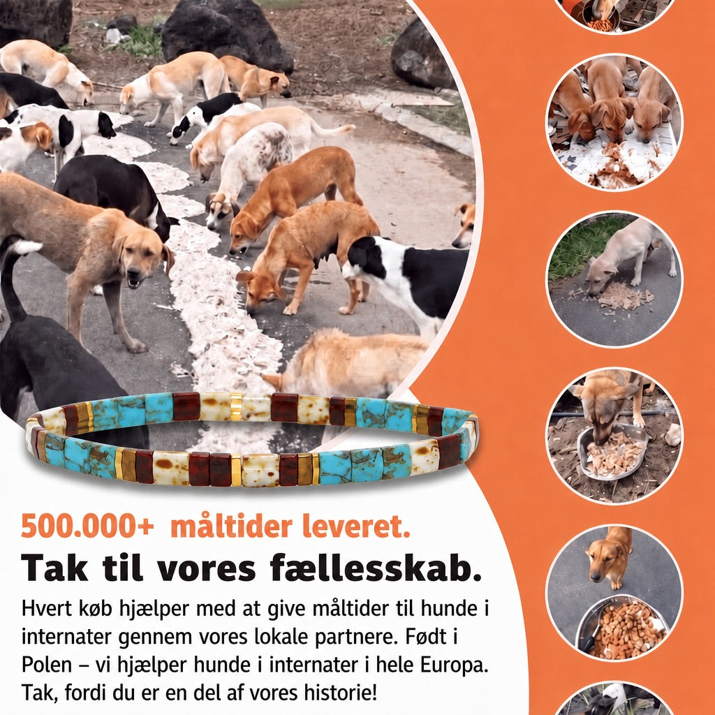 Miyuki-armbånd Oase – 500.000+ måltider leveret, født i Polen, vi hjælper hunde i internater i hele Europa