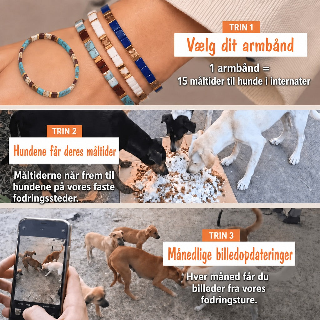 Miyuki-armbånd Oase – 1 armbånd = 15 måltider til hunde i internater