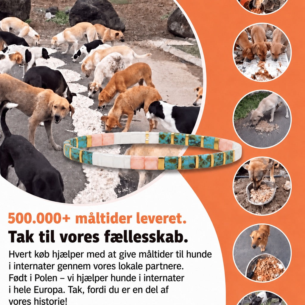 Miyuki-armbånd Riviera – 500.000+ måltider leveret, født i Polen, vi hjælper hunde i internater i hele Europa