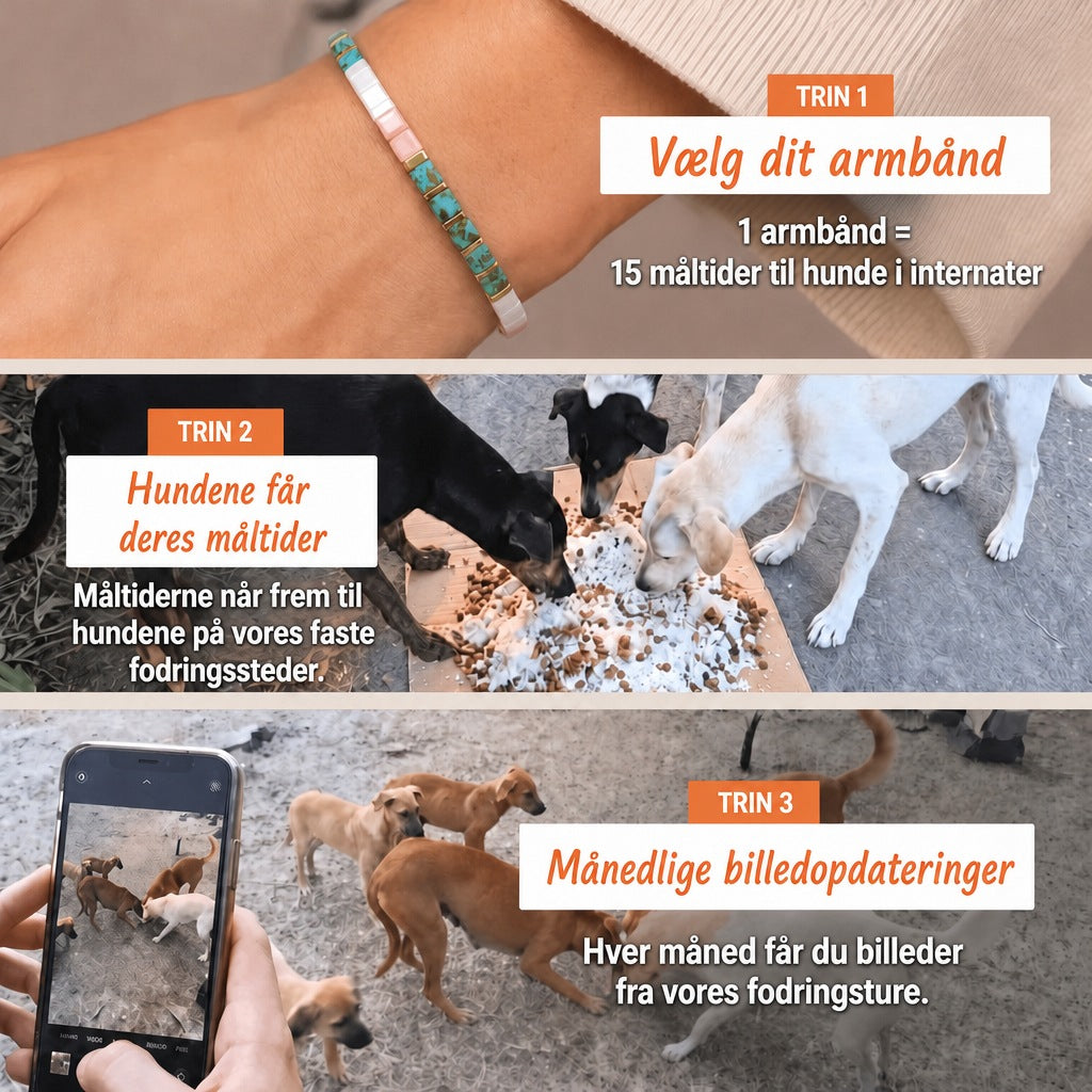 Miyuki-armbånd Riviera – 1 armbånd = 15 måltider til hunde i internater