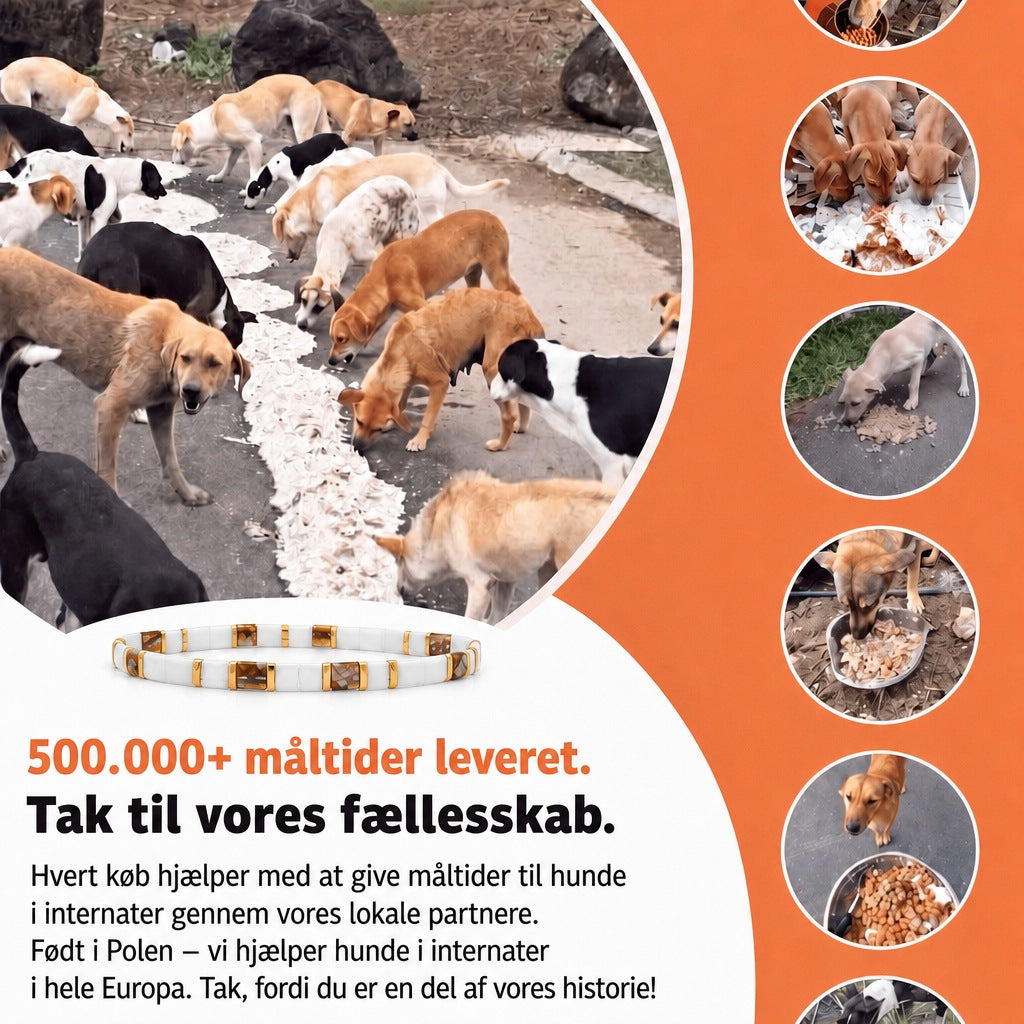 Miyuki-armbånd Serene – 500.000+ måltider leveret, født i Polen, vi hjælper hunde i internater i hele Europa