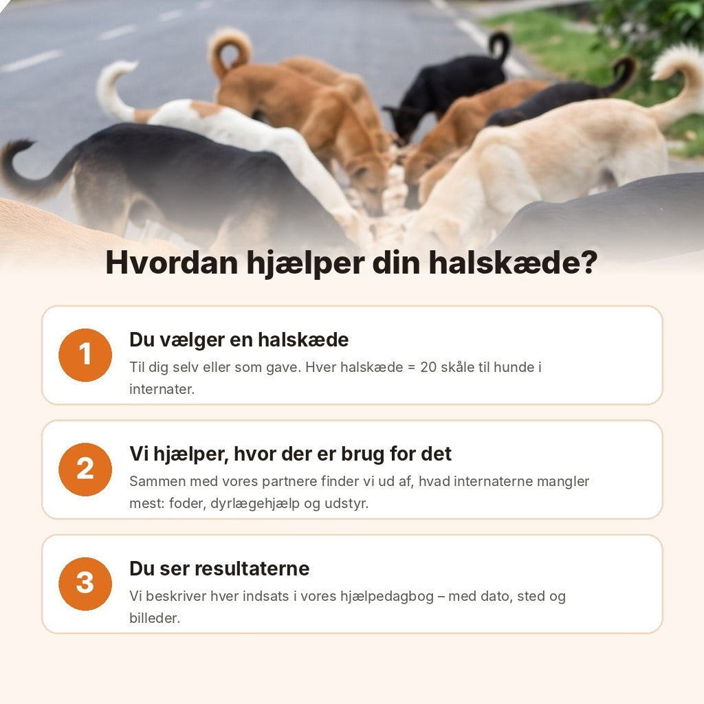 Sådan hjælper din halskæde – 1 halskæde = 20 skåle til hunde i internater