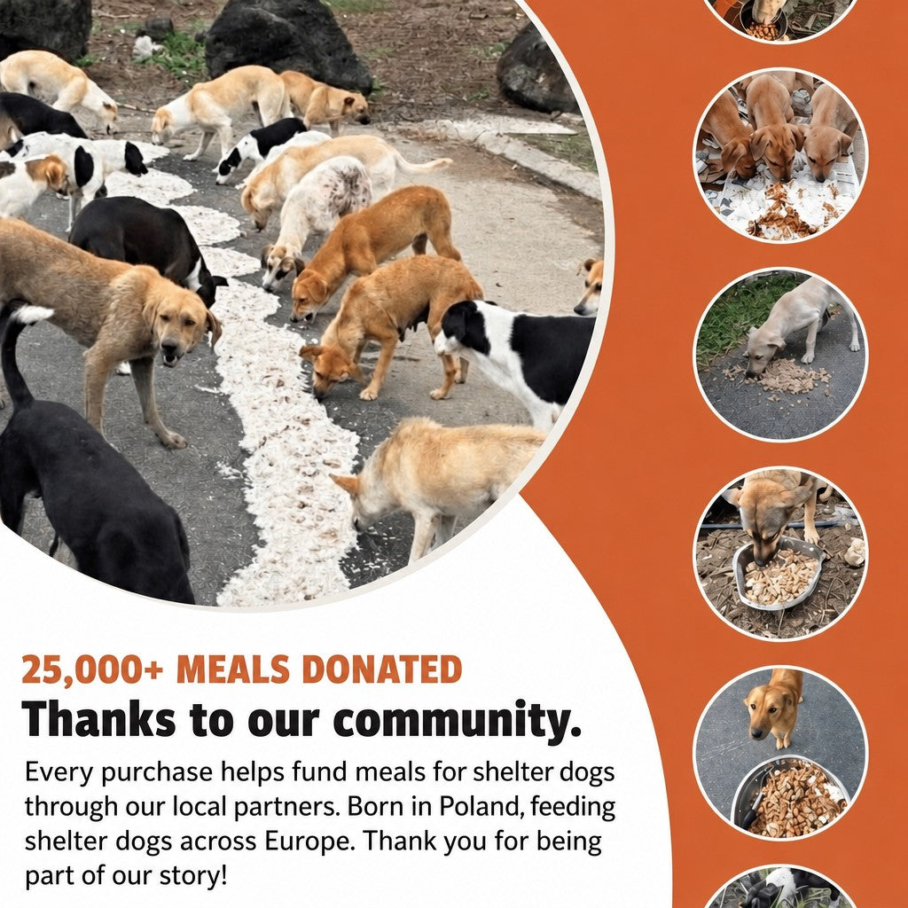 Nasza Łapa – 25,000+ meals donated thanks to our community