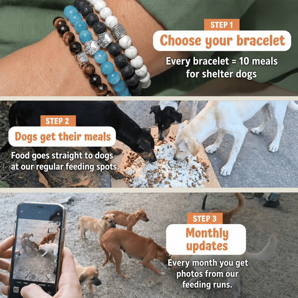 Nasza Łapa shelter bracelet – how it works: 1 bracelet = 10 meals for shelter dogs