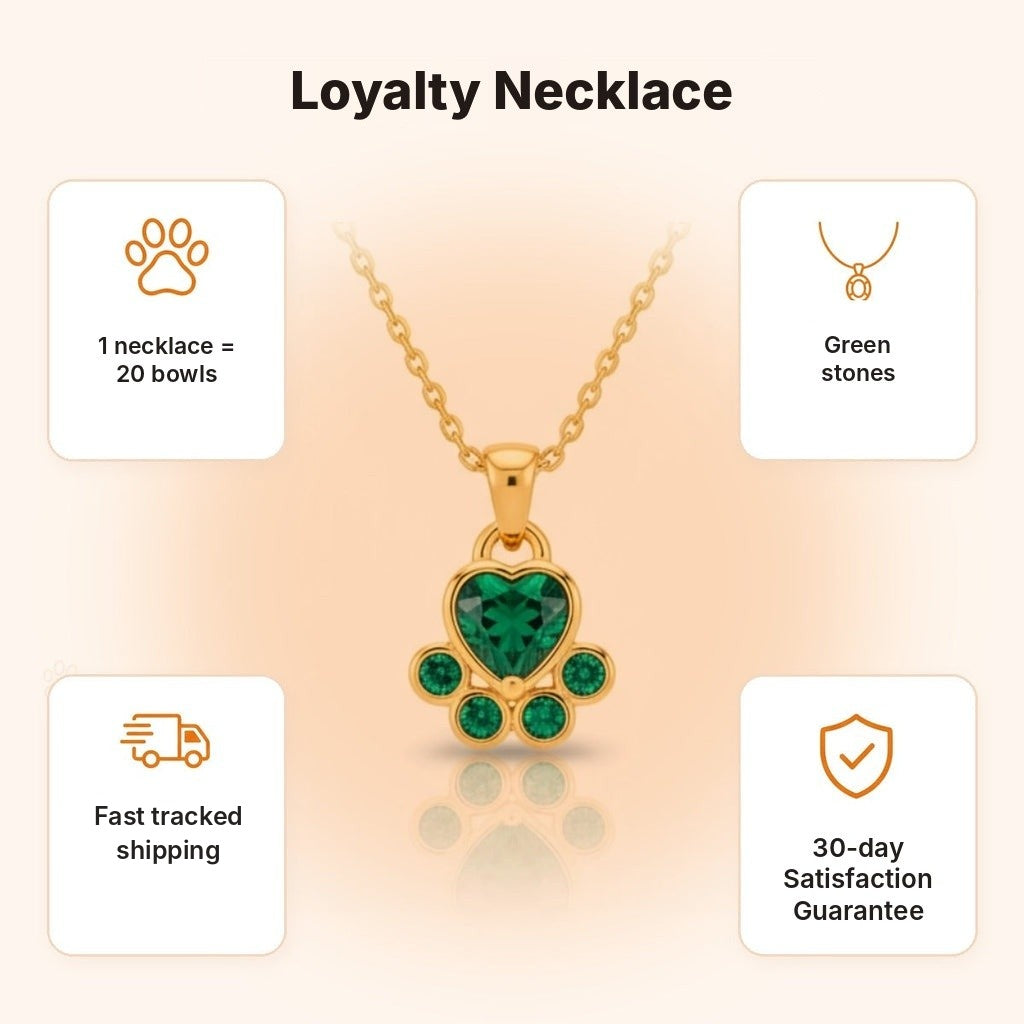 Loyalty paw necklace – what makes it special