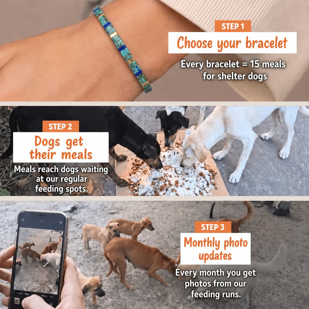 Azure Breeze Miyuki bracelet – how it works: 1 bracelet = 15 meals for shelter dogs