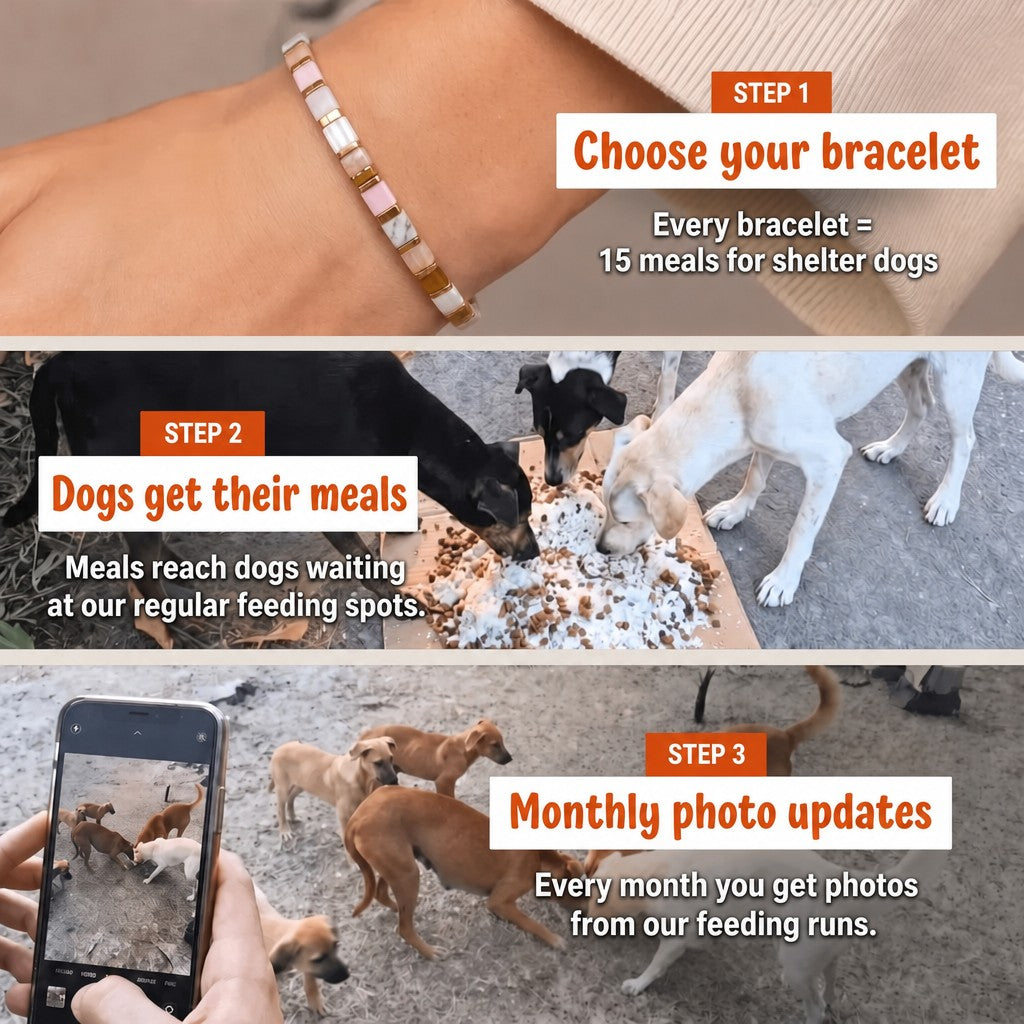 Caramel Chai Miyuki bracelet – how it works: 1 bracelet = 15 meals for shelter dogs