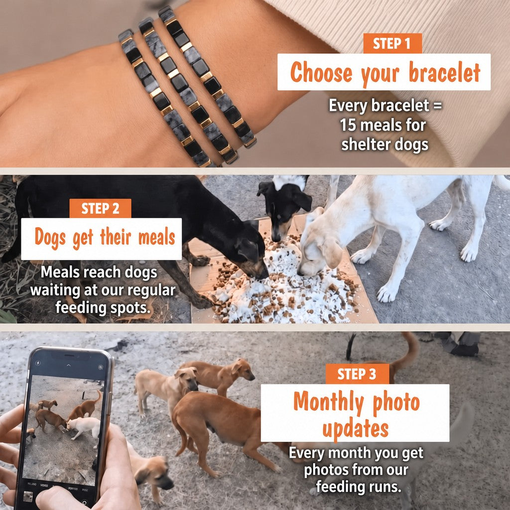 Black Eclipse Miyuki bracelet – how it works: 1 bracelet = 15 meals for shelter dogs