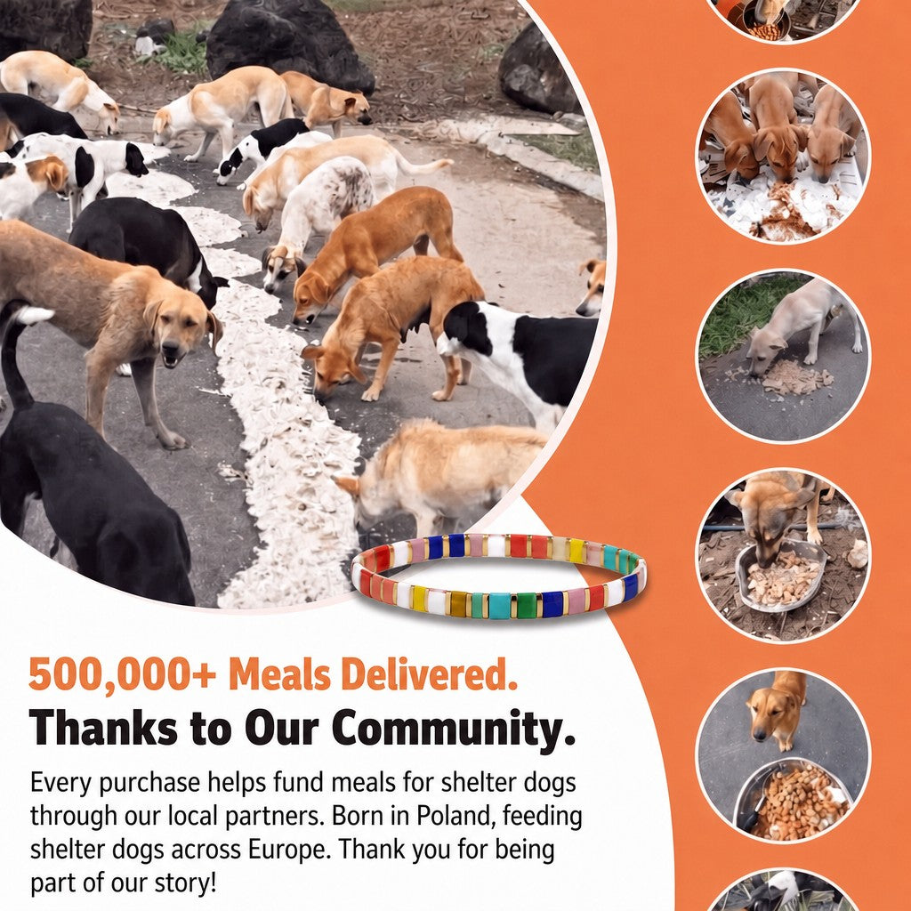 Rainbow Fiesta Miyuki bracelet – 500,000+ meals delivered thanks to our community
