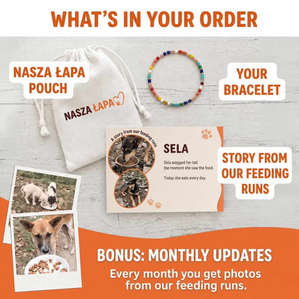 Rainbow Fiesta Miyuki bracelet – what's in your order