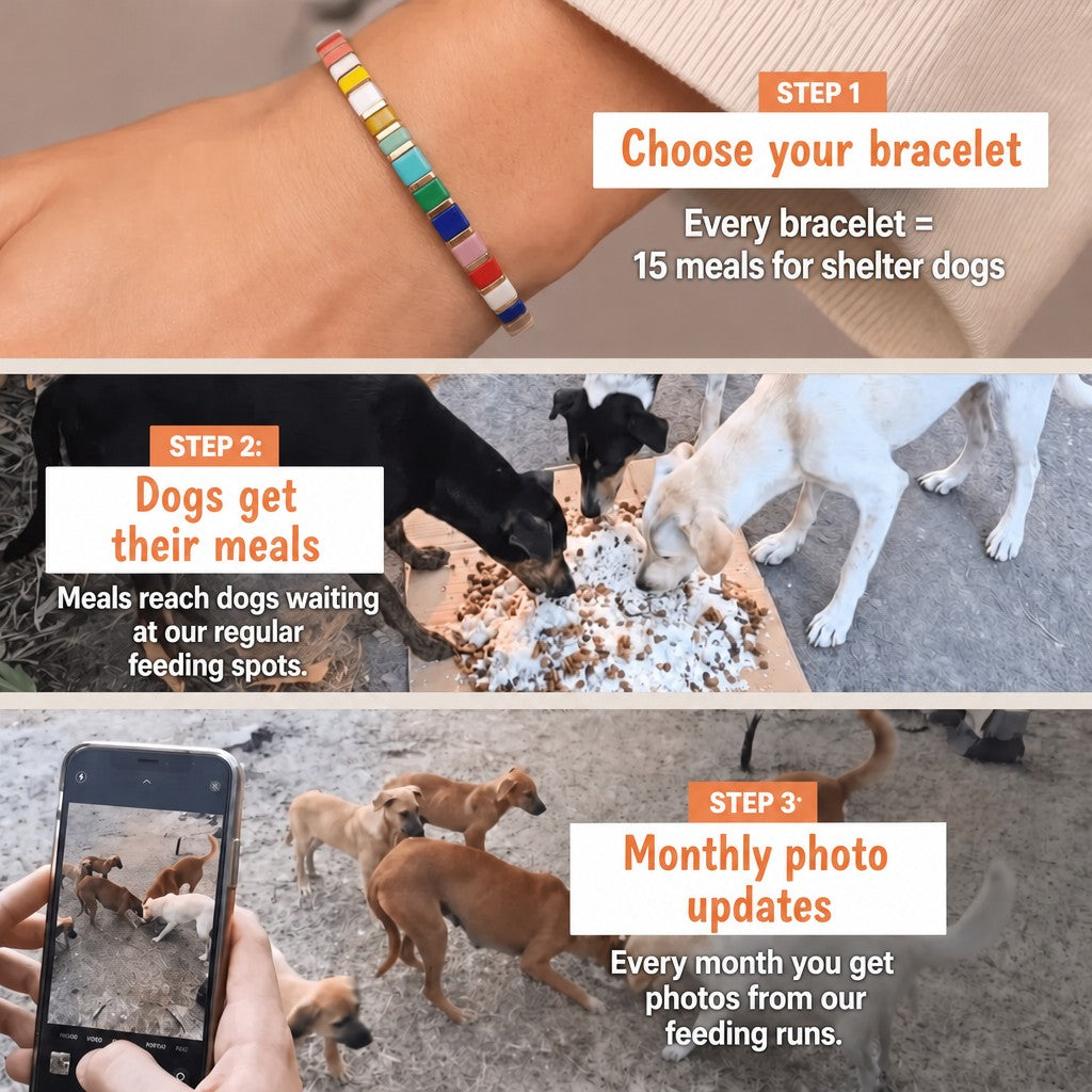 Rainbow Fiesta Miyuki bracelet – how it works: 1 bracelet = 15 meals for shelter dogs