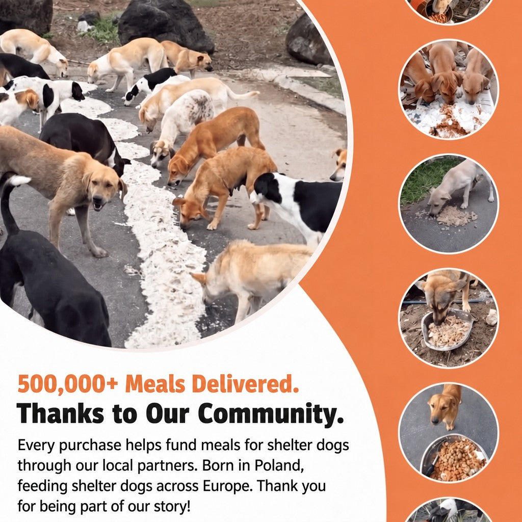 Sailor Stripe Miyuki bracelet – 500,000+ meals delivered thanks to our community