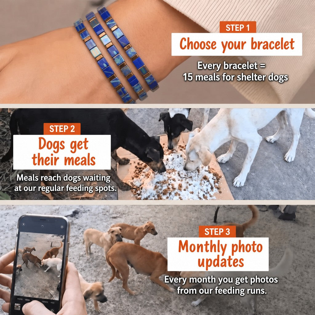 Sailor Stripe Miyuki bracelet – how it works: 1 bracelet = 15 meals for shelter dogs