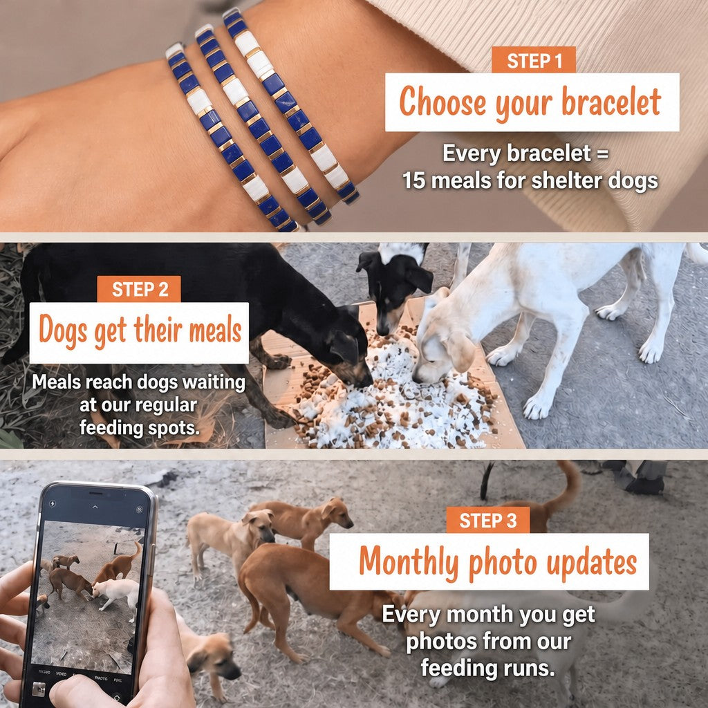 Sea Glass Miyuki bracelet – how it works: 1 bracelet = 15 meals for shelter dogs
