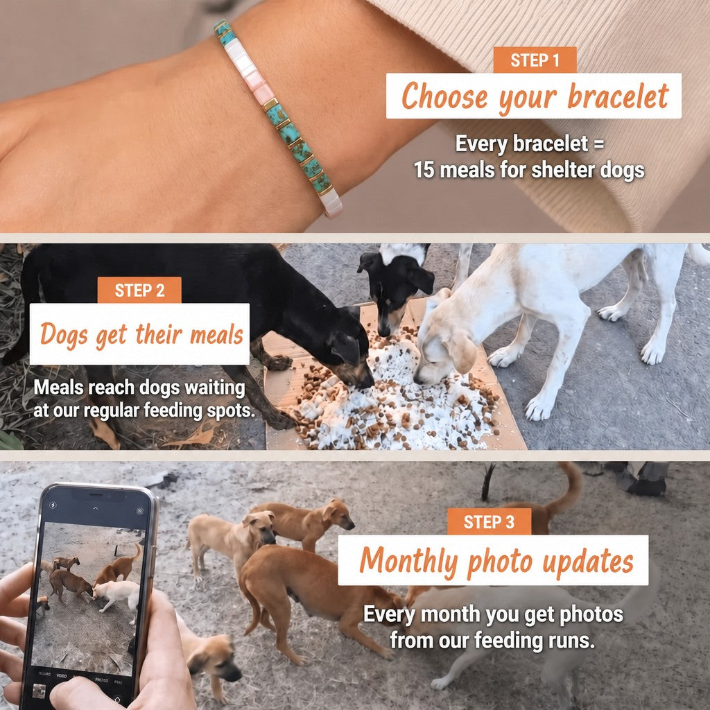 Sunny Riviera Miyuki bracelet – how it works: 1 bracelet = 15 meals for shelter dogs