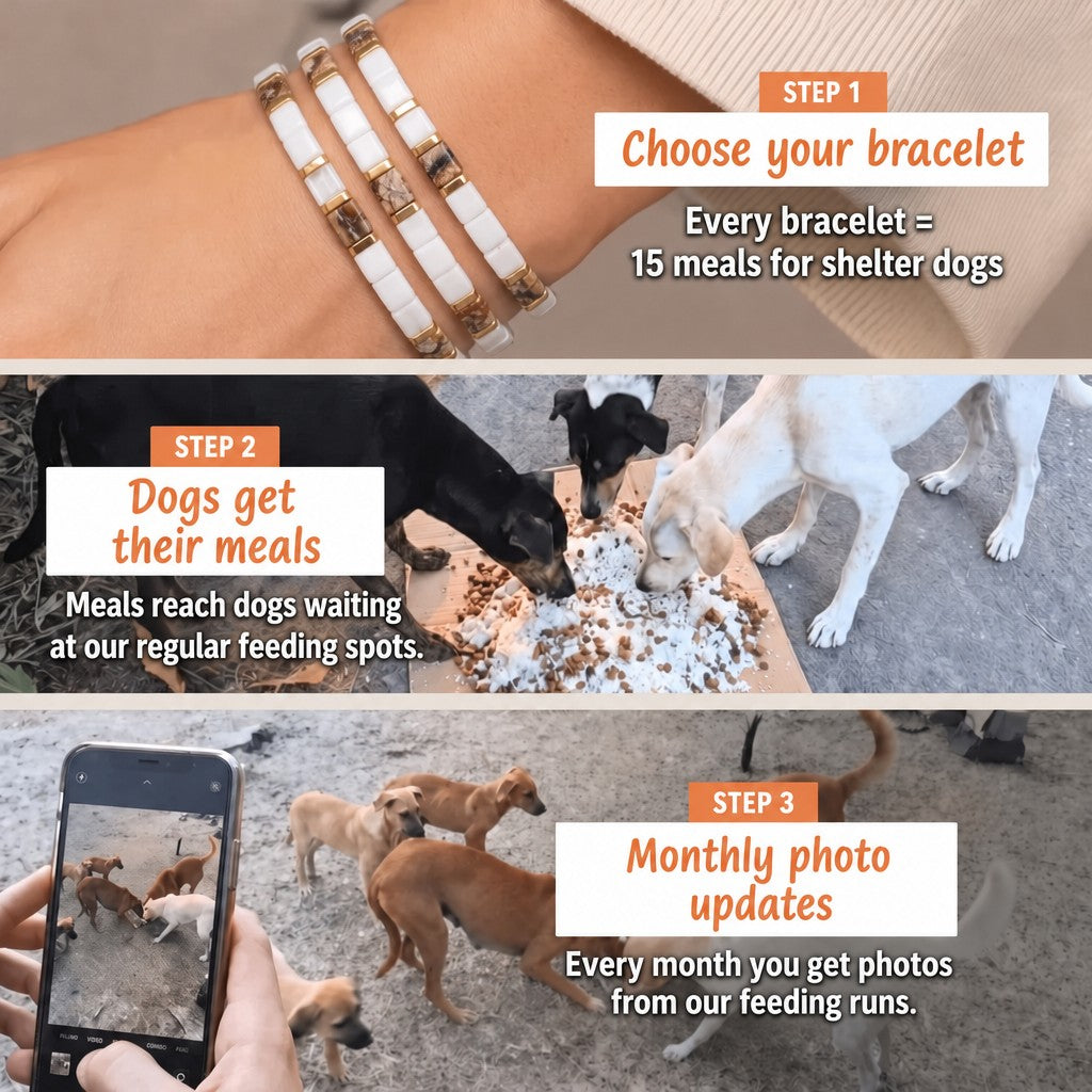Soft Pastel Miyuki bracelet – how it works: 1 bracelet = 15 meals for shelter dogs