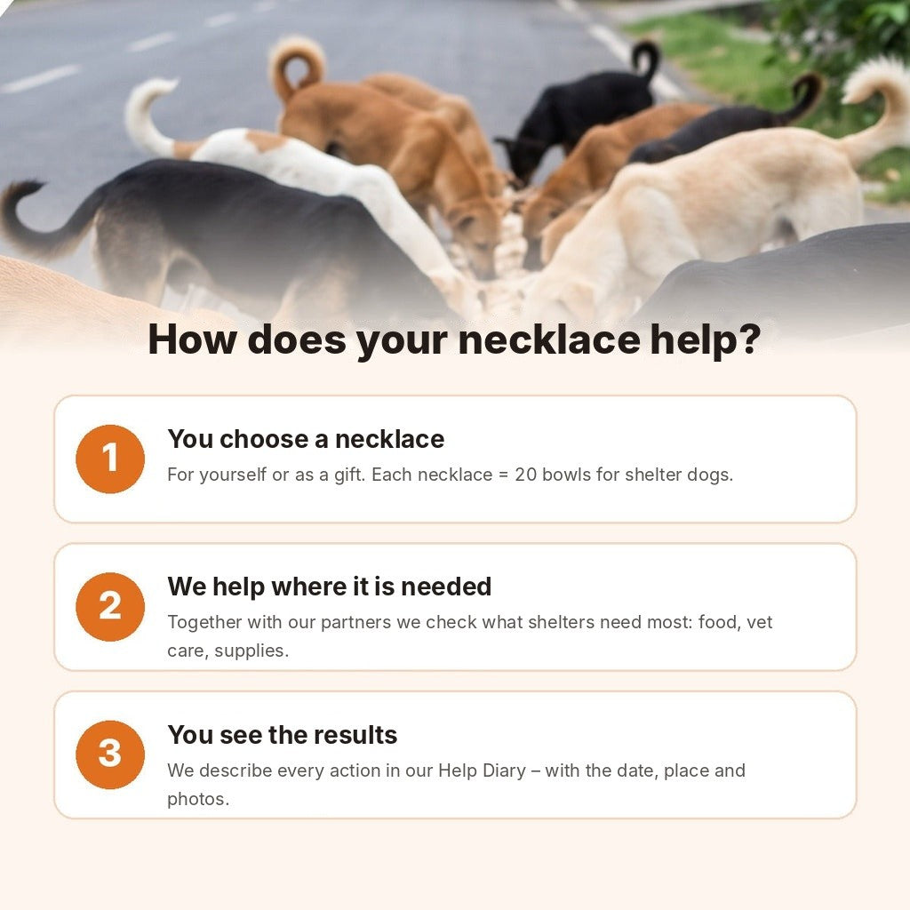 Nasza Łapa paw necklace – how your necklace helps shelter dogs