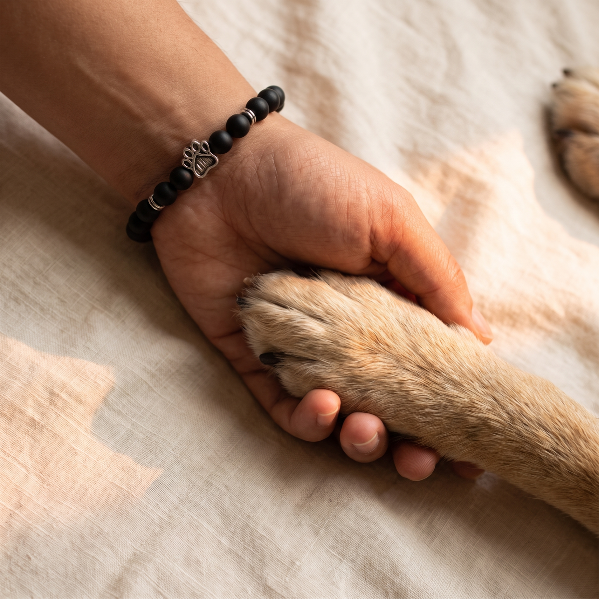 A dog's paw in a person's hand